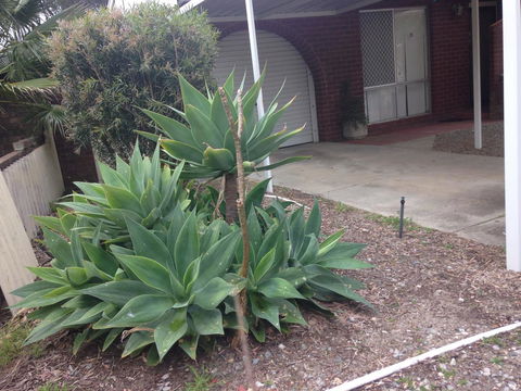 â˜… Stylish Family Home! â˜… - Events Australia 2