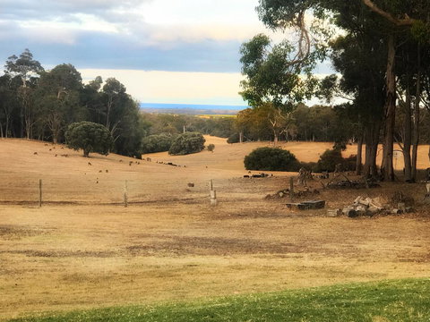 For The Birds Yallingup - Events Australia 28