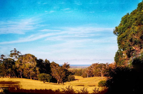 For The Birds Yallingup - Events Australia 27