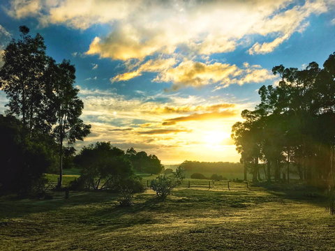 For The Birds Yallingup - Events Australia 23