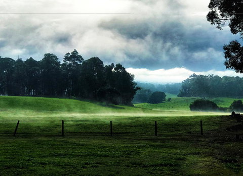 For The Birds Yallingup - Events Australia 25