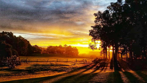 For The Birds Yallingup - Events Australia 26