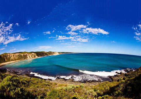 For The Birds Yallingup - Events Australia 31