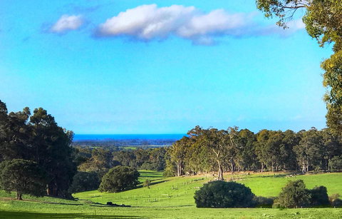 For The Birds Yallingup - Events Australia 2