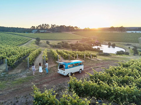 For The Birds Yallingup - Events Australia 36