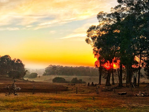 For The Birds Yallingup - Events Australia 24