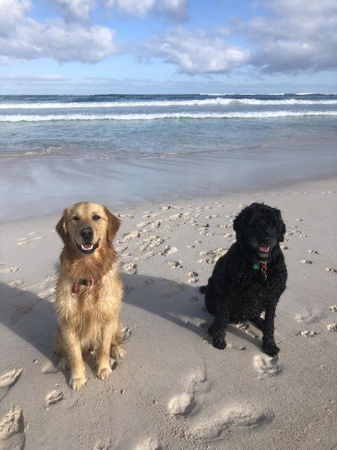 The Bothy Lancelin Family Retreat - Events Australia 32