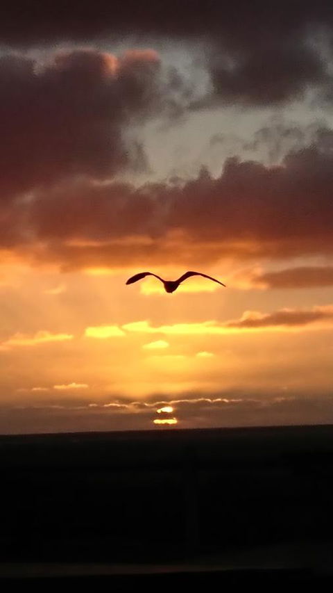 The Bothy Lancelin Family Retreat - Events Australia 28