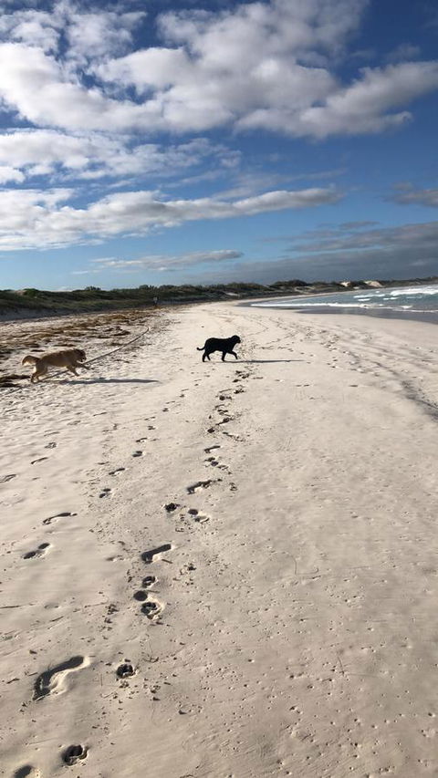 The Bothy Lancelin Family Retreat - Events Australia 30