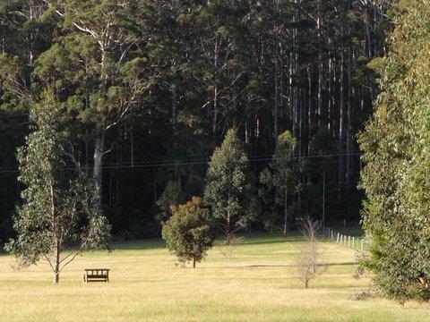 Big Brook Retreat - Tourism Bookings 5