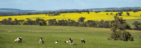 Kendenup Cottages And Lodge - Events Australia 44