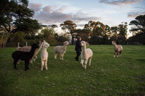 Celestine Retreat - Events Australia 6