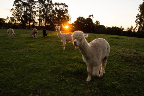 Celestine Retreat - Events Australia 2