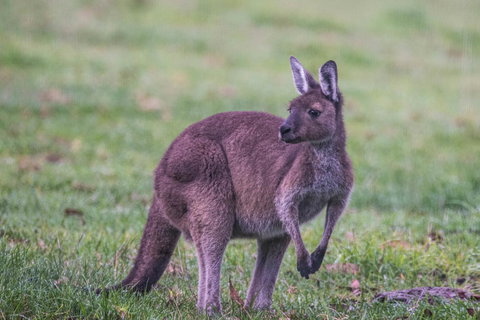 Celestine Retreat - Events Australia 4