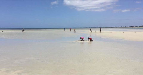 Beach House Dunsborough - Events Australia 22