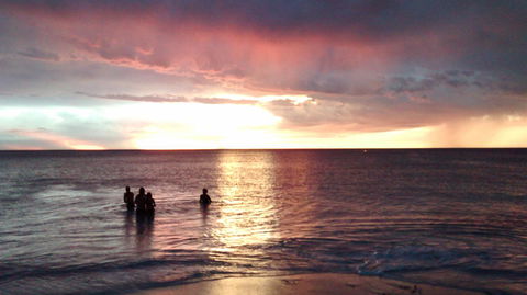 Palms Bed & Breakfast - Events Australia 24