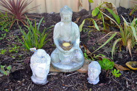 Palms Bed & Breakfast - Events Australia 22