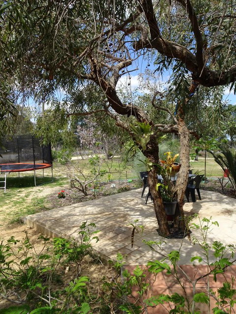 Majestichomestead B&B - Events Australia 7