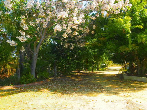 Majestichomestead B&B - Events Australia 33