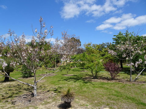 Majestichomestead B&B - Events Australia 27