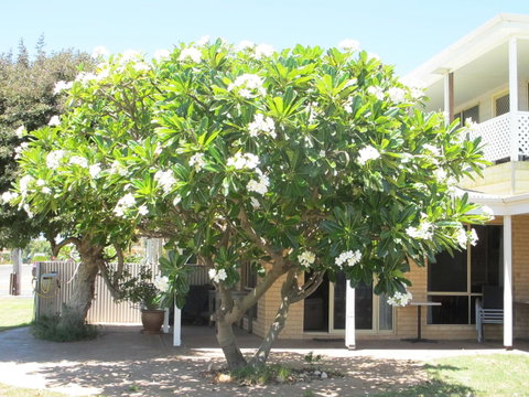 Kalbarri Riverfront Unit - Tourism Bookings 6