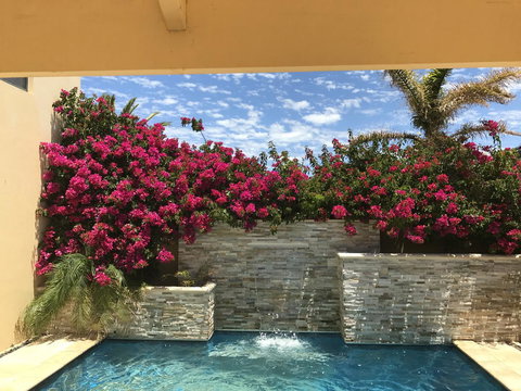 Le Boulevard - Events Australia 17