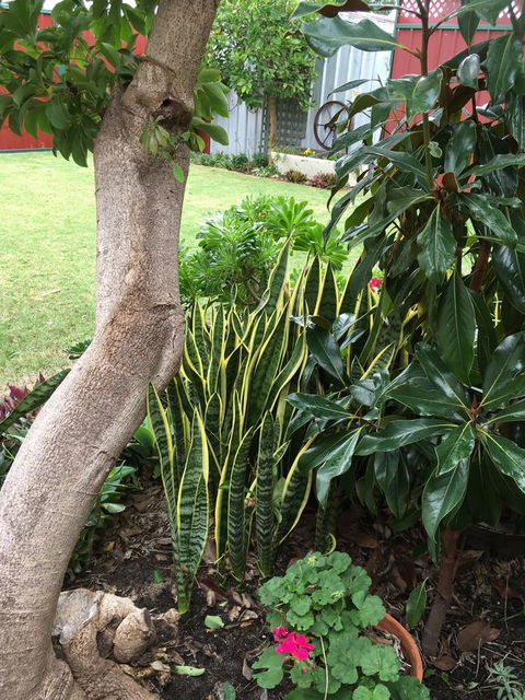 Bluebird Cottage - Events Australia 30