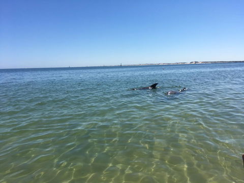 Bluebird Cottage - Events Australia 39