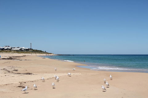 Bluebird Cottage - Events Australia 40