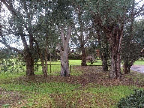 Nivalis Bed And Breakfast - Tourism Bookings 29