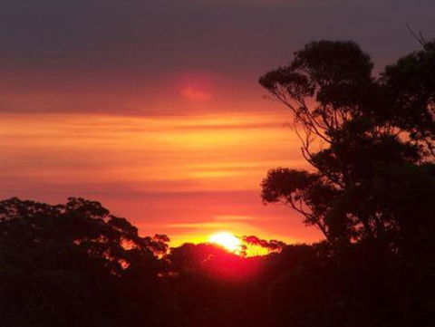Tennessee Hill Chalets - Tourism Bookings 9