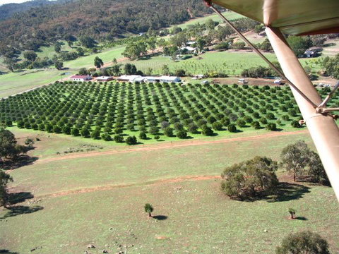 Bindoon's Windmill Farm - Tourism Bookings 3