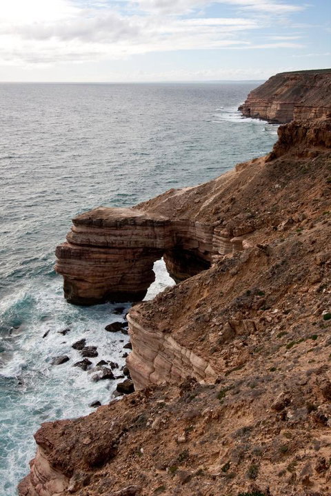 Kalbarri Palm Resort - Tourism Bookings 32