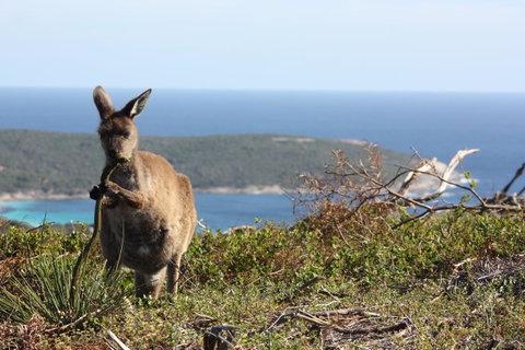 Bremer Bay B&B - Tourism Bookings 30