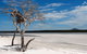 Bremer Bay B&B - thumb 33