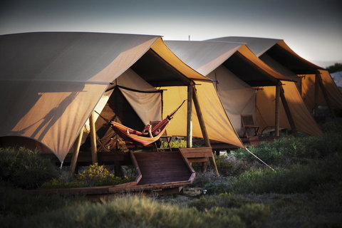 Sal Salis Ningaloo Reef - Events Australia 23