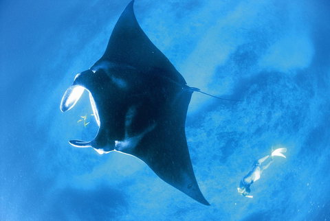 Sal Salis Ningaloo Reef - Events Australia 28