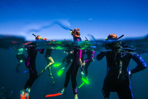 Sal Salis Ningaloo Reef - Events Australia 26