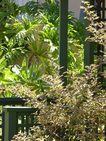 Kalbarri Beach Resort - Tourism Bookings 32