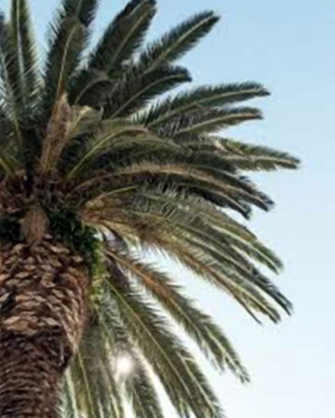 Best Western Plus Hotel Lord Forrest - Tourism Bookings 8