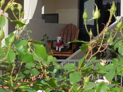 Como Executive Apartment - Events Australia 17