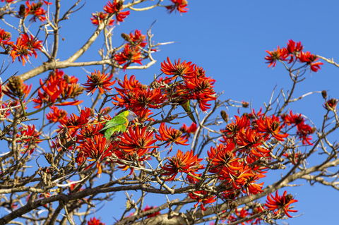 Como Executive Apartment - Events Australia 19