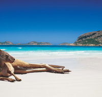 The Shiralee - Tourism Bookings