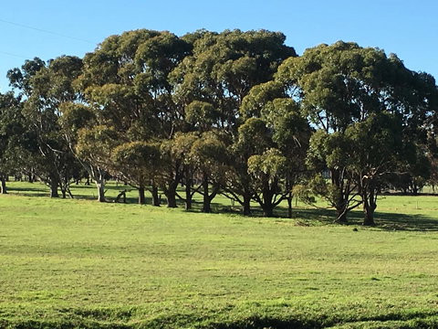 Cosy Corner Chalets - Events Australia 2