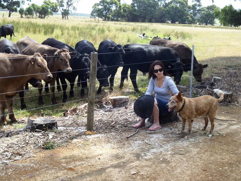 Cosy Corner Chalets - Events Australia 20