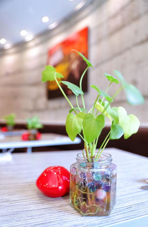 Bunbury Hotel Koombana Bay - Tourism Bookings 20