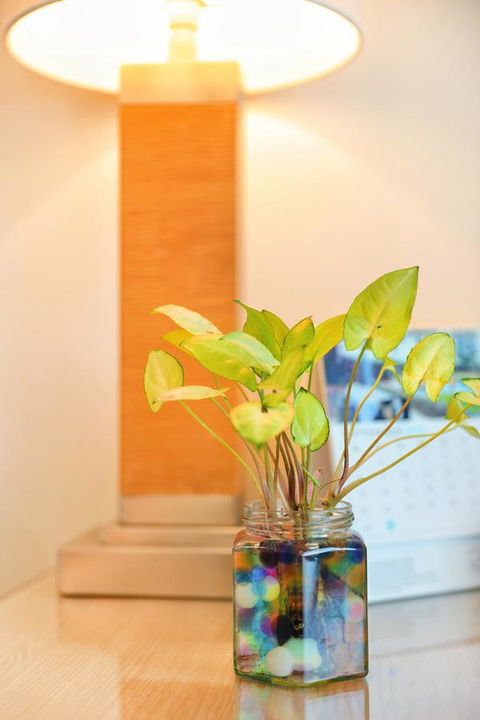 Bunbury Hotel Koombana Bay - Tourism Bookings 7