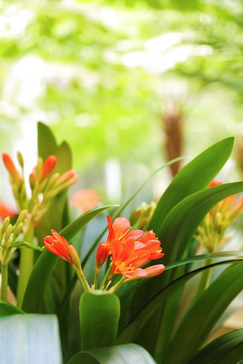 Bunbury Hotel Koombana Bay - Tourism Bookings 19