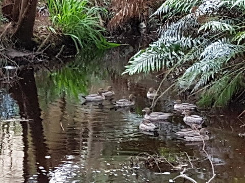 Strahan Retreat Holiday Park - Accommodation Europe 24