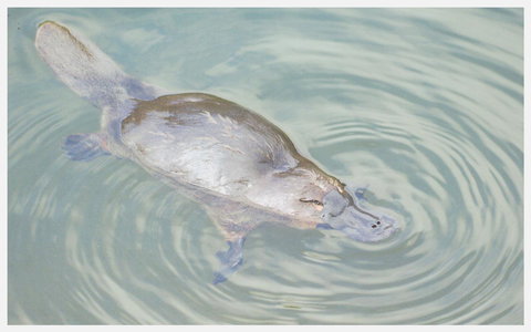 Strahan Retreat Holiday Park - Accommodation Europe 20